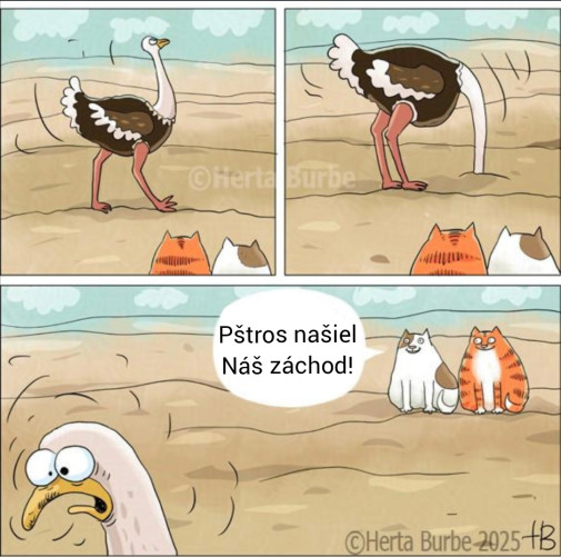 Pštros a mačky