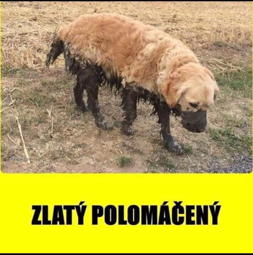 Ponuknite sa polomacanymi